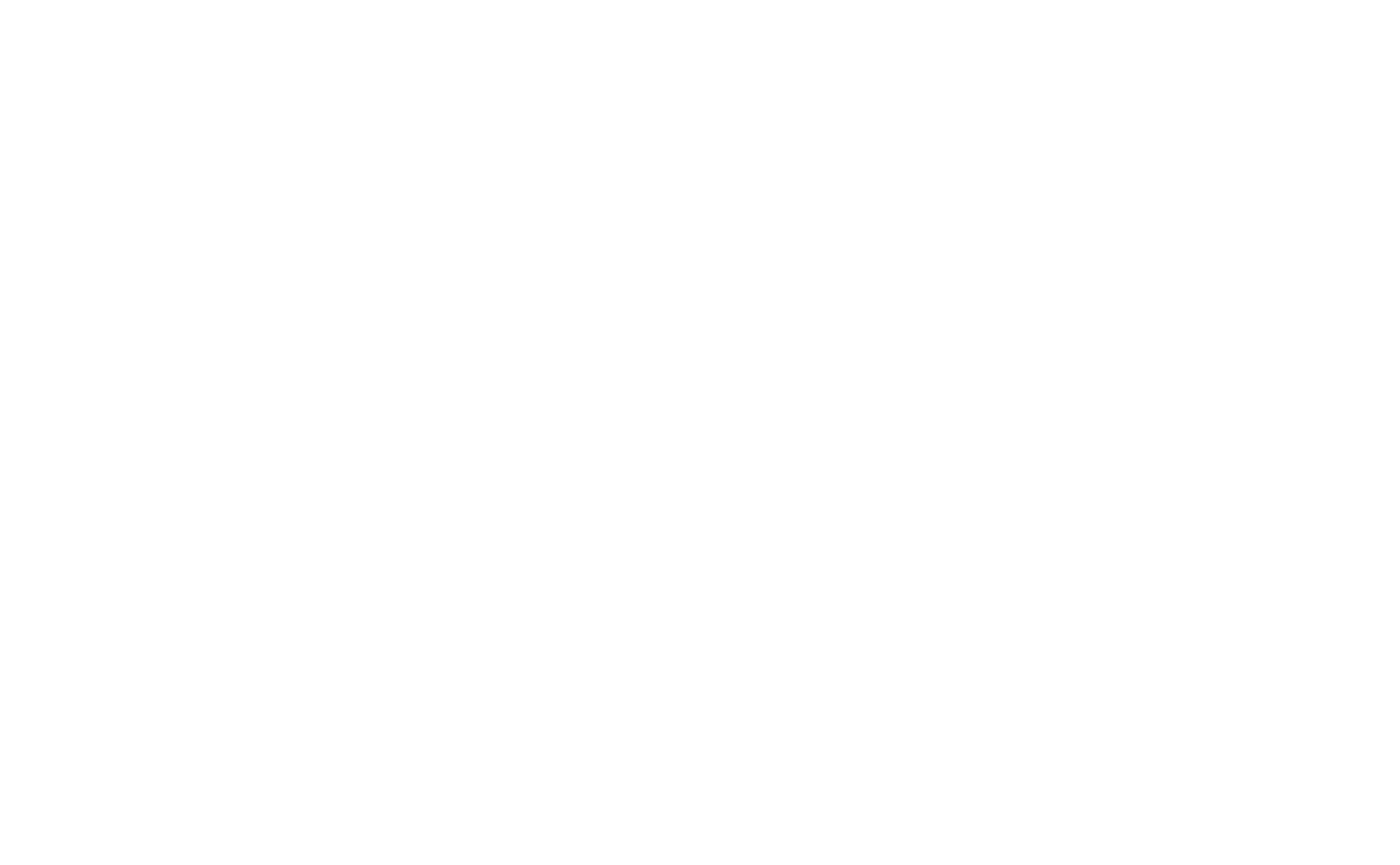 previus-icon